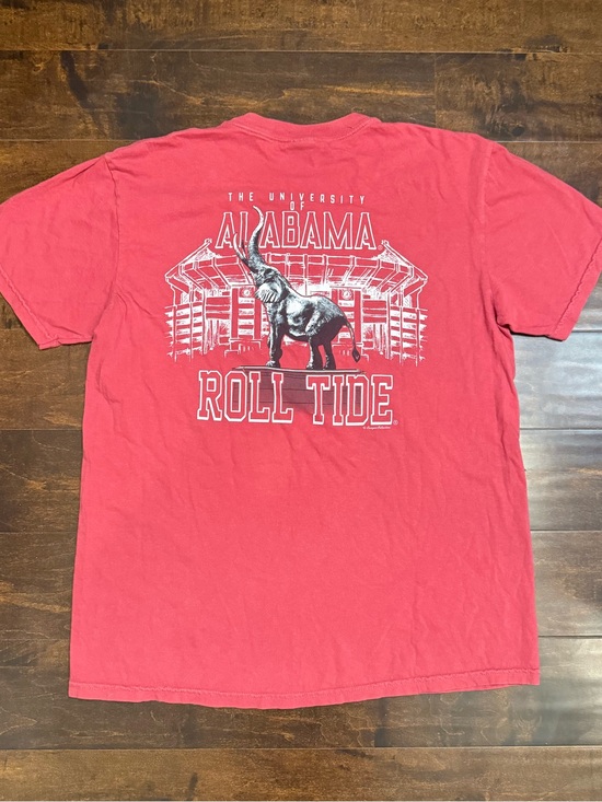Comfort Colors Other - University of Alabama Crimson Tide T-shirt Men’s Size Large